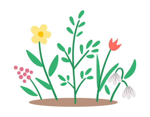 Vector spring flower bed icon. First blooming plants illustration. Floral clip art. Cute flat nursery bed with snowdrop and tulip isolated on white background - Vektori, kuva