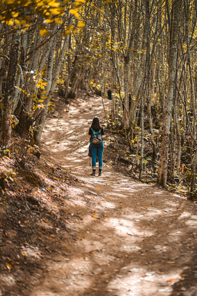 Alternatif kıyafetli genç bir kadın ve yoğun bir ormanda yürüyüşe çıkmış renkli bir sırt çantası. - Fotoğraf, Görsel