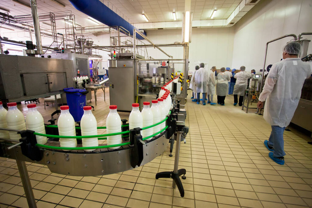 牛乳を製造し、ボトルに充填する工場 - 写真・画像
