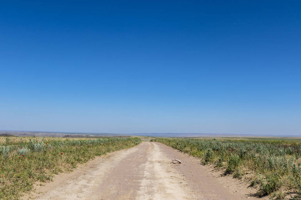 Wide grassland landscape of Kazakhstan, Central Asia - Zdjęcie, obraz