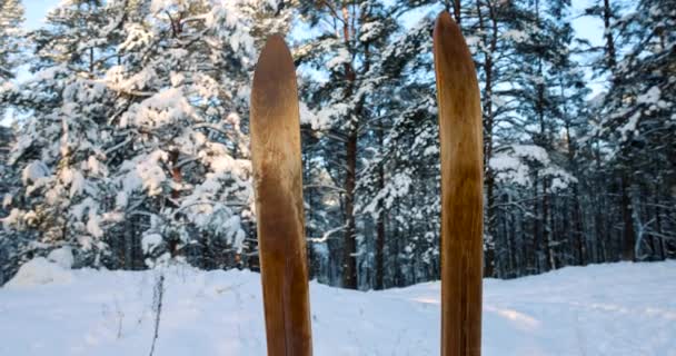 viejos esquís de madera con bastones de esquí de pie en la nieve en el bosque nevado en el día de invierno soleado - Metraje, vídeo