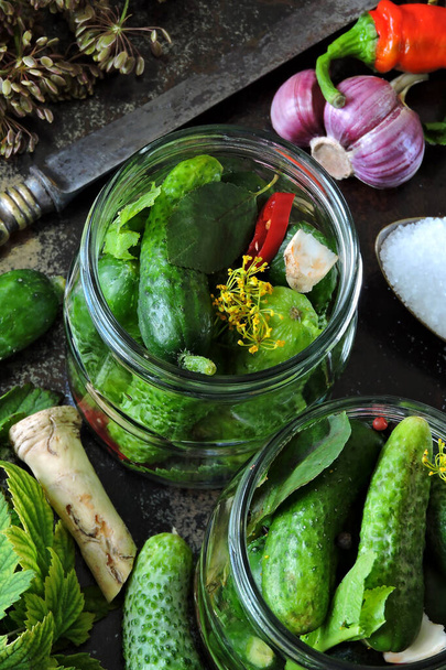 Jars of cucumbers, herbs and spices. Cucumber pickling concept. Cooking fermented cucumbers. Probiotics. Homemade pickles. - Photo, Image