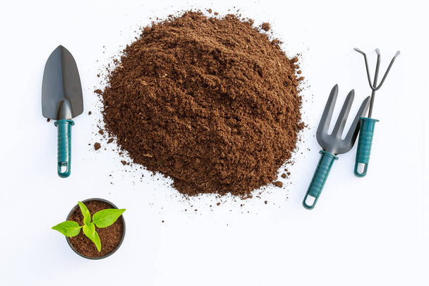 Semis de poivre, terre et outils de jardin sur une table blanche. Plantation de semis de poivre. - Photo, image