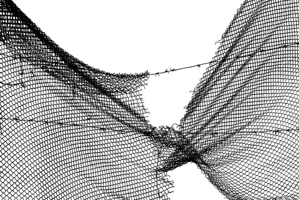 Extremos deshilachados de valla de malla de alambre desgarrado contra fondo blanco - Foto, imagen