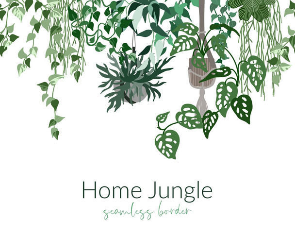 Tropical home plants in pots, seamless border - Вектор, зображення