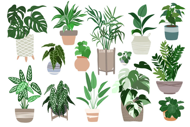 Big set of home plants in pots, scandi design - Vektor, kép