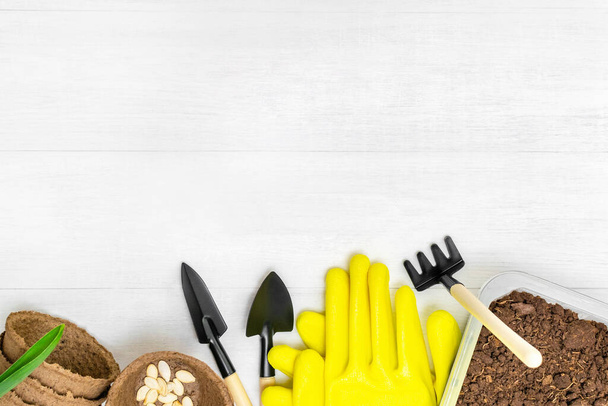 Peat pots for planting seedlings, seeds of vegetables, flowers, soil and garden tools - a shovel and rake and yellow protective gloves on a white wooden table. Spring gardening and equipment. - Foto, imagen