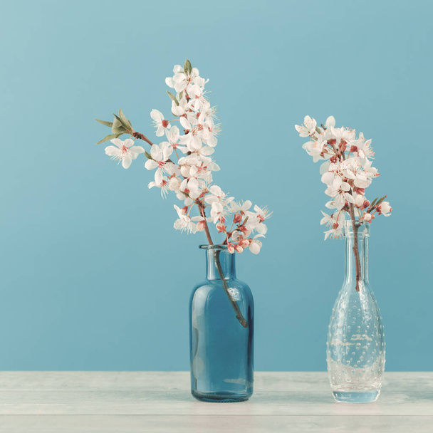 Spring or summer festive blooming with white flowers fruit tree branches in two small glass vases against tender blue background. Fresh floral background with copy space - Photo, image