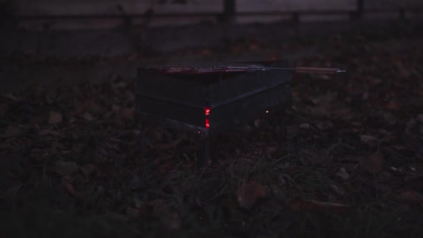 Brazier avec de la viande dans un filet de barbecue est frit sur les charbons dans l'obscurité - Séquence, vidéo