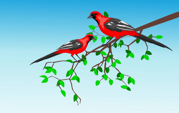 Красного цвета птицы сидят на ветке дерева, синий фон, вектор - Вектор,изображение