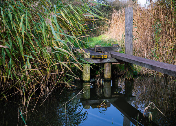 Afbeelding van een gangpad en de reflectie ervan in het water van het moeras. - Foto, afbeelding