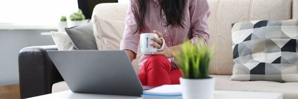 Woman is sitting on couch at home holding cup and working on laptop - Zdjęcie, obraz