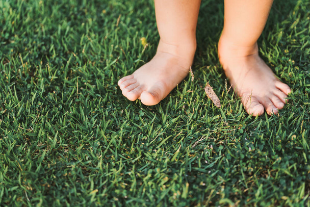 少女の足は緑の芝生の上で草の上を歩く。体の一部。概念的な身体感覚について学ぶ. - 写真・画像