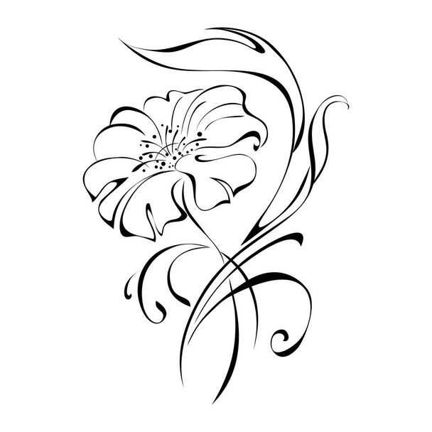 Stylized flower in black lines on a white background - Vector, imagen