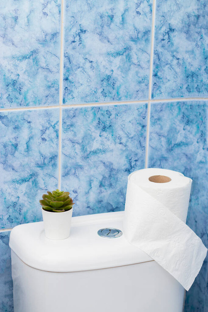 Badezimmerausstattung mit neuer Keramik-Toilettenschüssel, - Foto, Bild