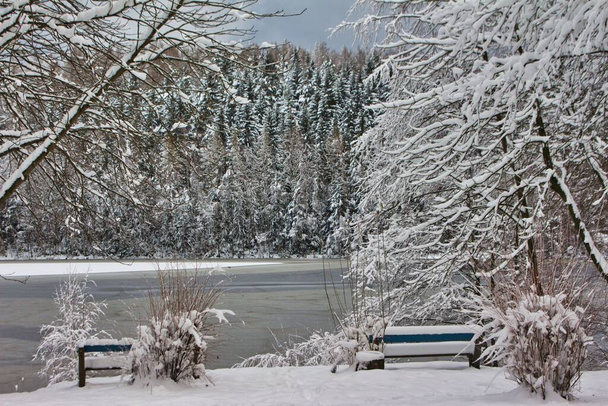 雪に覆われた風景の中の凍った湖の前にある木のベンチ - 写真・画像
