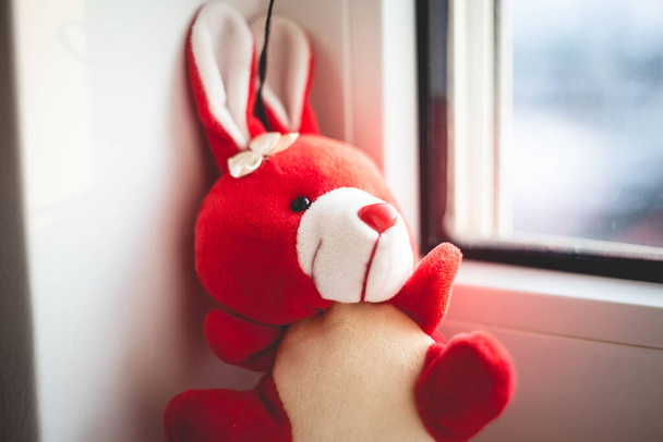 A cute red stuffed bunny toy on a windowsill - Photo, Image