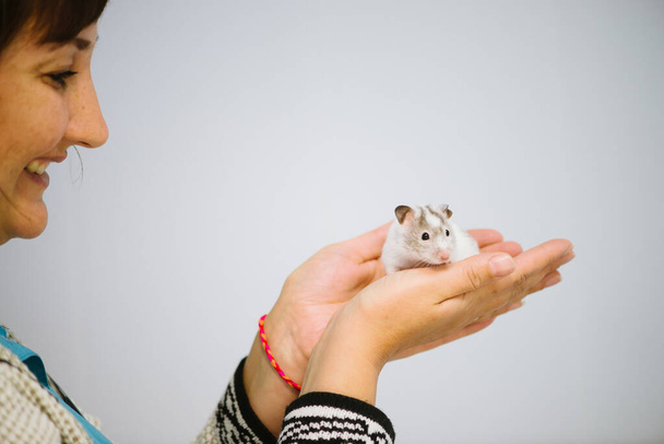 Žena drží bílou chlupatou myšku na bílém pozadí. Roztomilé mladé myši v rukou veterináře. Malá bílá krysa s hnědými skvrnami v dívčí ruce. Vtipný chlupatý mazlíček. Krásná kuriózní tečkovaná myš. - Fotografie, Obrázek