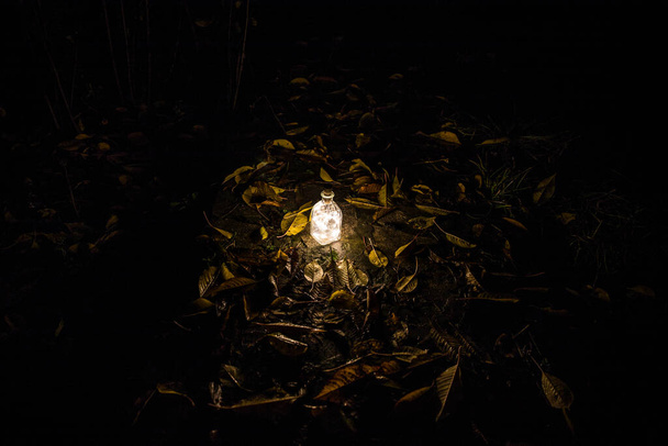 Вид на бутылку со светом ночью в саду. Лампа волшебная фея пыль зелье в бутылке в лесу. Долгий выстрел. Селективный фокус - Фото, изображение