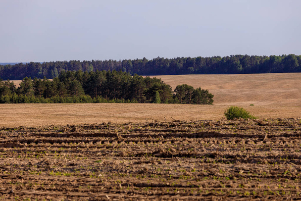 οργωμένο πεδίο zhytomyr περιοχή ukraine - Φωτογραφία, εικόνα