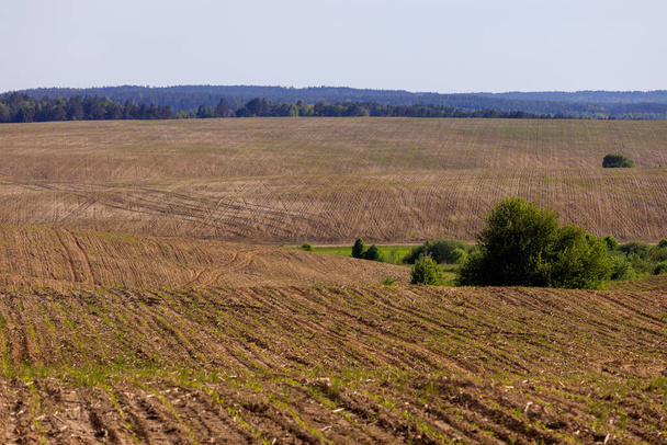 plowed field zhytomyr region ukraine - Photo, Image
