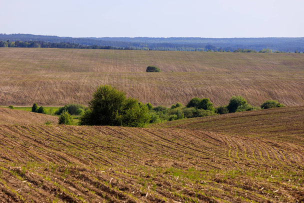 plowed field zhytomyr region ukraine - Fotoğraf, Görsel