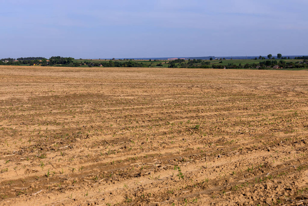 вспаханное поле Житомирской области Украины - Фото, изображение