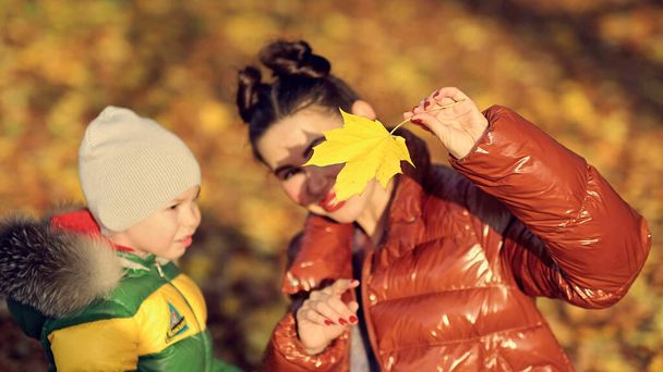 Mom and son look at maple leaves, study nature in the park., family fun. family enjoying a walk in nature. happy motherhood concept. - Photo, Image