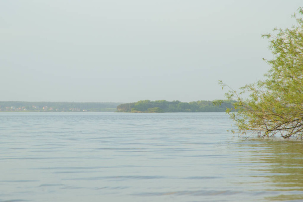 un endroit idéal pour la pêche : un lac paisible avec une vague calme sous un ciel clair dans la brume du matin - Photo, image