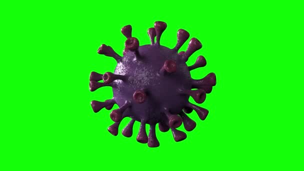 Корона с фиолетовым вращением, вращающимся в центре, изолирована зеленым экраном. Концепция микробиологии и вирусологии Covid-19. Вирусный баннер. Болезни и эпидемия. 3D рендеринг видео 4k hd высокого качества - Кадры, видео