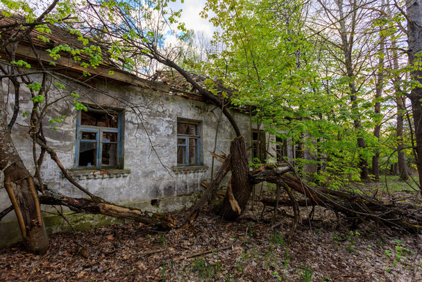 チェルノブイリ地域の排除区域に家を放棄 - 写真・画像