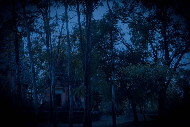Feengeheimniswald Geheimnisvolle Atmosphäre Paranormal, eine andere Welt Ein Fremder in einem nebligen Wald Gruselig dunkler Park. - Foto, Bild