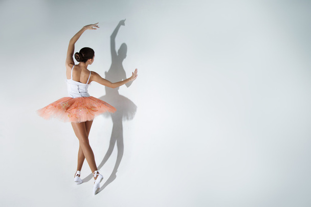 ballet performance - Fotografie, Obrázek