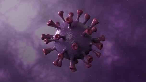 Corona Virus Violet forgás centrumban Izolált Dinamikus háttér. Mikrobiológia és virológia koncepció Covid-19. Vírus zászló. Betegség és járvány. 3d render 4k hd videó kiváló minőségű. - Felvétel, videó