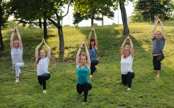 A group of people do yoga in the Park at sunset. Healthy lifestyle, meditation and Wellness - Fotografie, Obrázek
