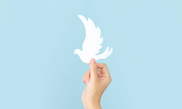 Χέρι γυναίκας κρατώντας λευκό χαρτί περιστέρι πουλί σε μπλε φόντο, διεθνή ημέρα ειρήνης ή έννοια παγκόσμια ημέρα ειρήνης - Φωτογραφία, εικόνα