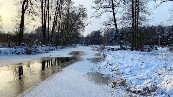 Zimowy krajobraz rzeka zamarznita pola i lasy w okolicach Wlodawy pokrytej duet niegu niego w zlotejj godzinie - Zdjęcie, obraz