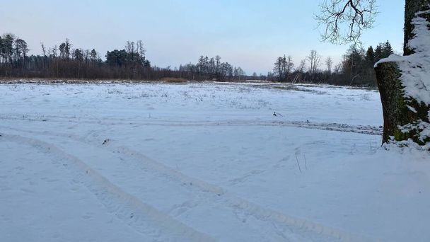 Zomowy krajobraz rzeka zamarznita pola i lasy low okolicach Wlodawy pokrytej duo niegu niego w zlotejj godzinie - 写真・画像