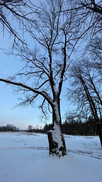 Zimowy krajobraz rzeka  zamarznita pola i lasy w okolicach Wlodawy pokrytej duo niegu niego w zlotejj godzinie - Fotó, kép