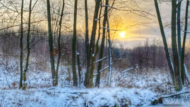 Zimowy krajobraz rzeka czuciowo  zamarznita pola i lasy w okolicach Wodawy pokrytej duo niego w zotej godzinie - Foto, Bild
