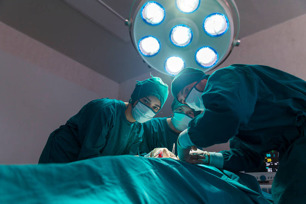 Groep van arts, beoefenaar die chirurgische operatie uitvoert in het ziekenhuis operatiekamer. Geconcentreerde arts bij een patiënt tijdens een hysterectomie operatie in een ziekenhuis. - Foto, afbeelding