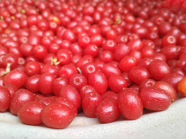 Silverberry, gumi. Red berries elaeagnus multiflora background. - Foto, imagen