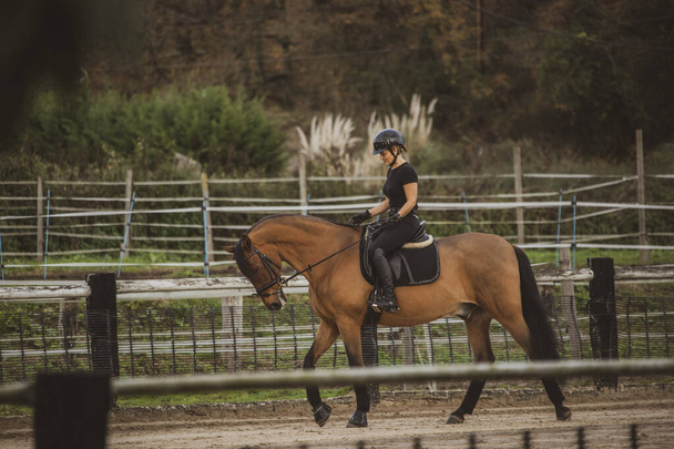 Female rider on horseback in the riding school - Фото, изображение