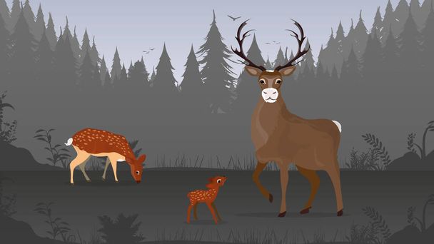 illustrazione vettoriale di un cervo nella foresta - Vettoriali, immagini