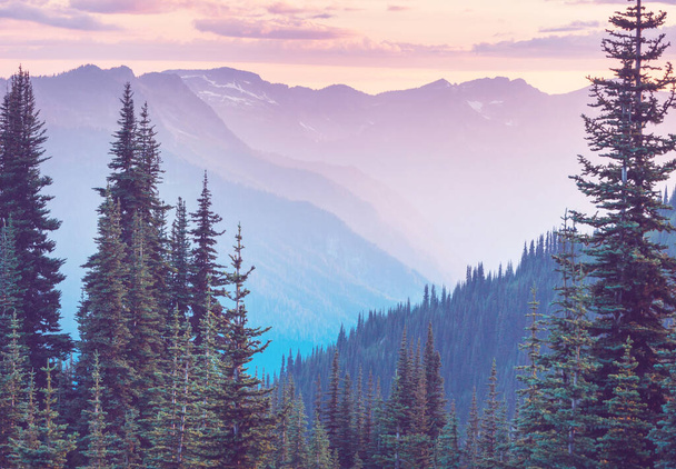 Kaunis vuorenhuippu Pohjois-Cascade Range, Washington, Yhdysvallat - Valokuva, kuva