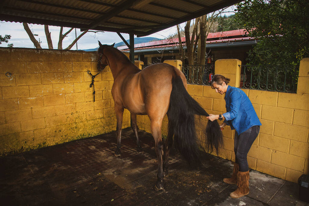 Cowgirl putzt und kämmt ihr braunes Pferd im Stall - Foto, Bild