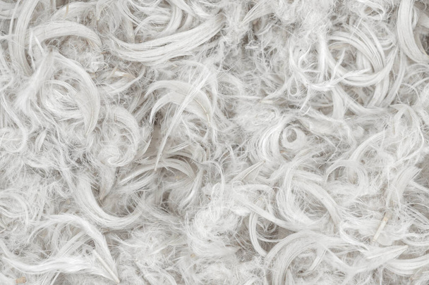 White feathers and fluff from pillows texture background - Photo, Image