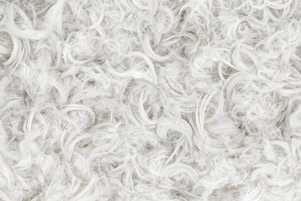 Białe pióra i puch z tła poduszki tekstury - Zdjęcie, obraz