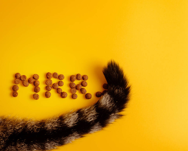 cat food on yellow background laid out in word of cat purring, Mrr top view, near cat tail - Fotografie, Obrázek