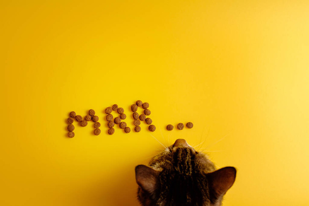 cat food on yellow background laid out in word of cat purring, Mrr top view, cat steals food - Fotó, kép